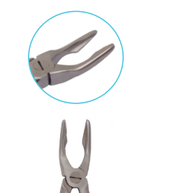 Pinza Gubia